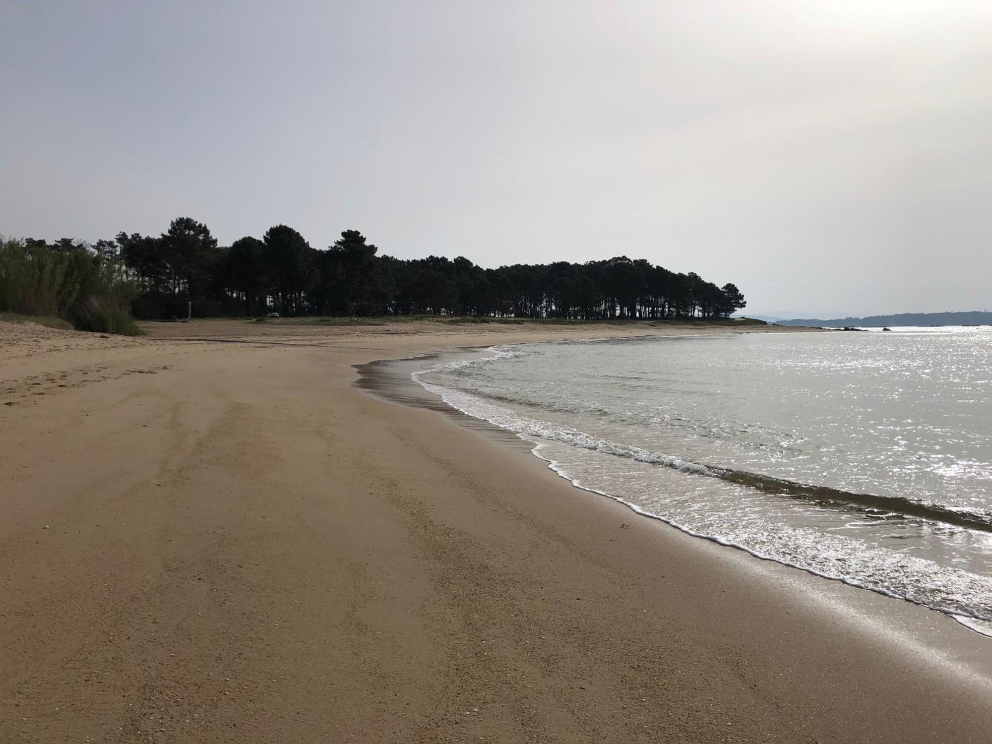 Apartamento Playa Da Corna Palmeira المظهر الخارجي الصورة